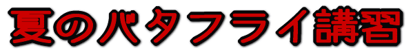 新年バタフライ講習