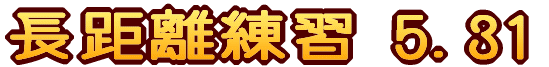 新年バタフライ講習