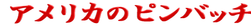  �A�����J�̃s���o�b�` 